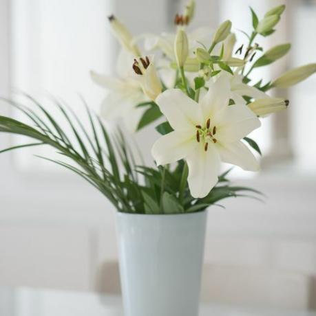 flor de lirio blanco en un jarrón