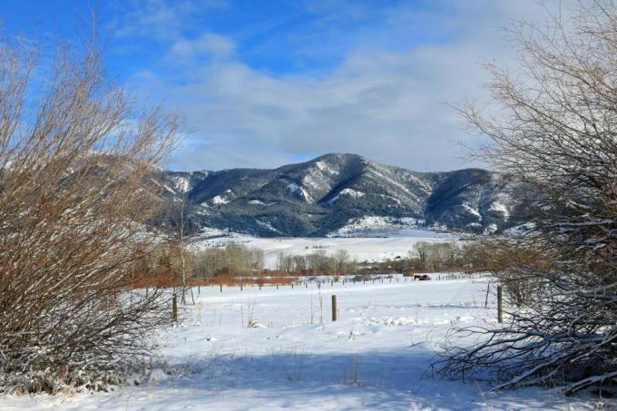 Vista invernal de las montañas Bridger vistas desde Bozeman Montana foto de don y melinda crawforducggrupo de imágenes universales a través de Getty Images
