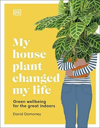 La planta de mi casa cambió mi vida: Bienestar verde para los grandes interiores