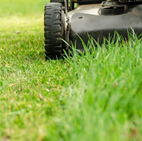 las ruedas de una cortadora de césped usada en césped viejo con su primer corte de primavera cerca