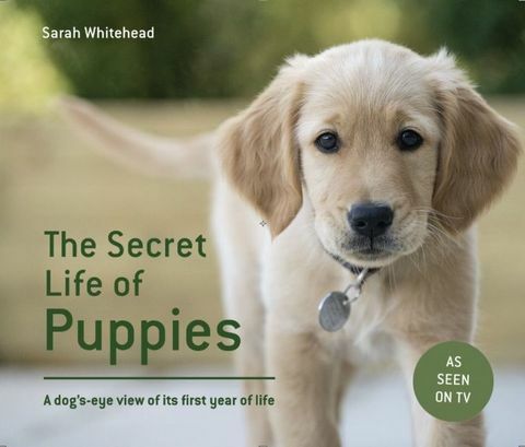 el libro de la vida secreta cachorros pf
