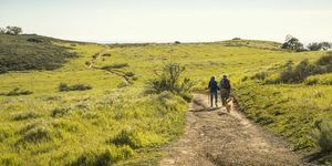 pareja paseando por la naturaleza