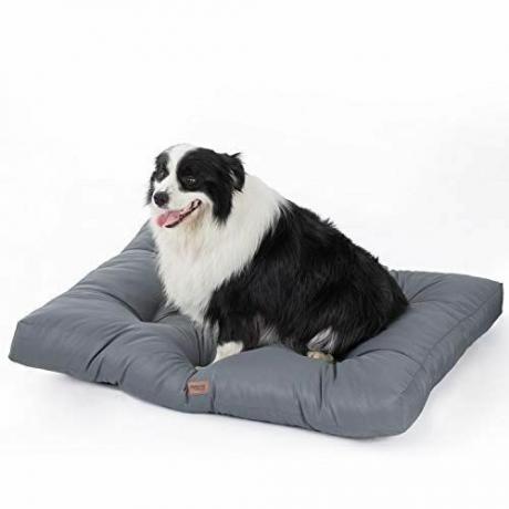 cama para perros impermeable amazon 