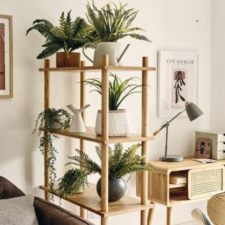 plantas de interior de homeense