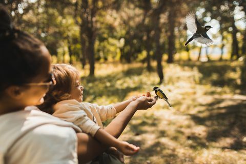 madre y su hijo alimentando a la teta salvaje con semillas de girasol en un parque público en otoño