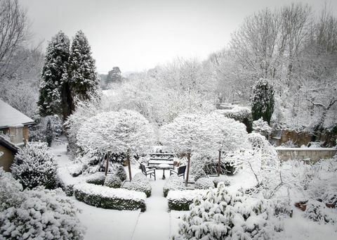 Jardín de invierno