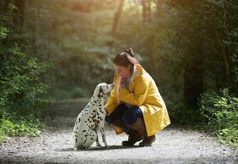 Mujer con perro dálmata en camino arbolado.