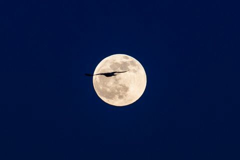 una rara luna azul iluminará el cielo en halloween