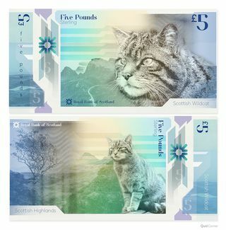Foto de billete de banco salvaje escocés