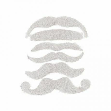 Conjunto de bigote falso