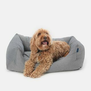 Cama Eco Domino para mascotas