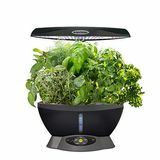 AeroGarden y kit de cápsulas de semillas de hierbas