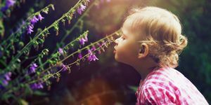 Oreja, púrpura, niño, lavanda, violeta, magenta, niño, primavera, rubio, bebé,