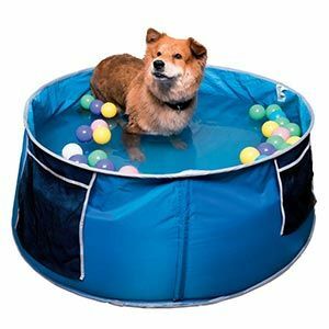 Piscina infantil para perros Cool Club Azul