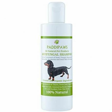 Champú para perros antifúngico y antibacteriano 100% natural - Infecciones por hongos, tiña, dermatitis, pioderma - Seguro - Natural - Sin parabenos ni SLS - 250 ml - Botella más grande disponible en la tienda.