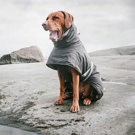 Abrigo para perros Hurtta Extreme Warmer foto