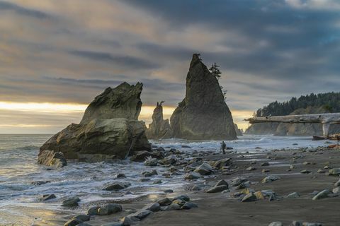 Hombre en la playa de Rialto, tenedores, Washington, EE.UU.