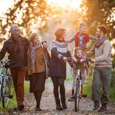 familia sonriente de varias generaciones dando un paseo con bicicletas en la naturaleza y disfrutando de su tiempo juntos