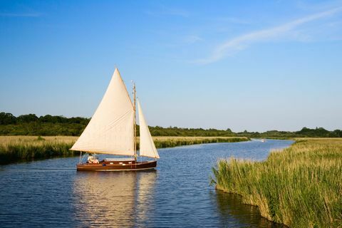 Paseos en bote en los Norfolk Broads