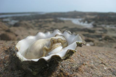 Vacaciones en Jersey - viajes en solitario