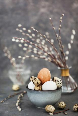 Huevos de Pascua en un tazón y sauce bouquet sobre fondo gris