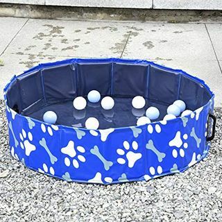 Piscina infantil plegable para perros 