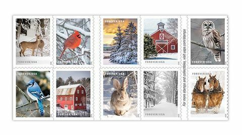 Escenas de invierno usps sellos navideños 2020