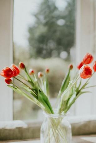 tulipanes rojos en un florero contra una ventana